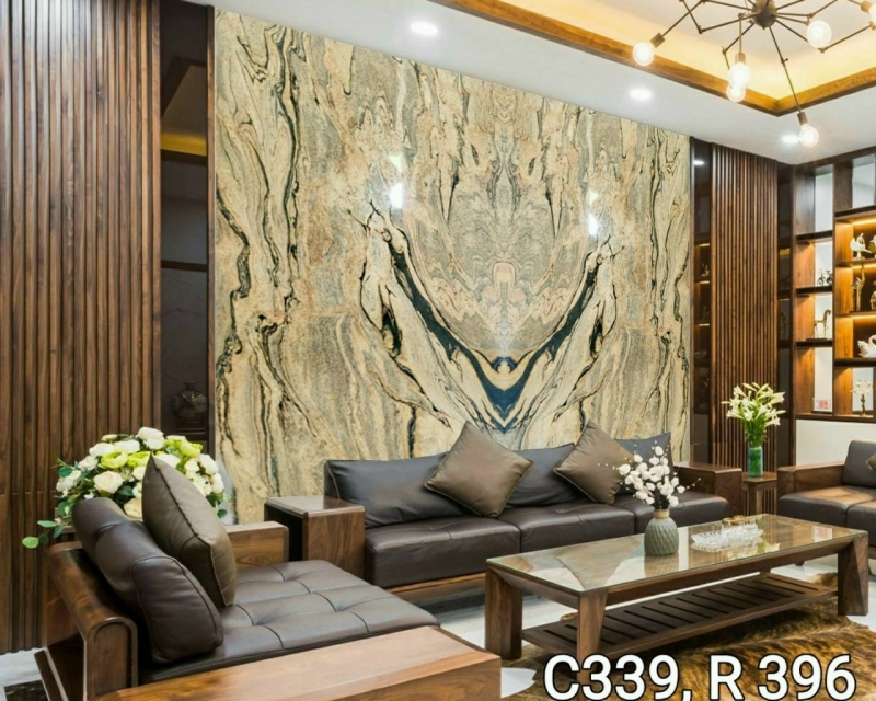 Đá Granite Ánh Vàng Sử Dụng Làm Vách Ngăn Phòng Khách 