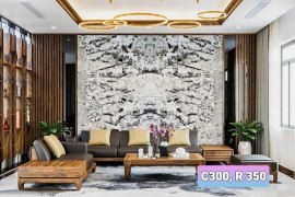 Tranh Đá Granite Màu Trắng Vân Đen